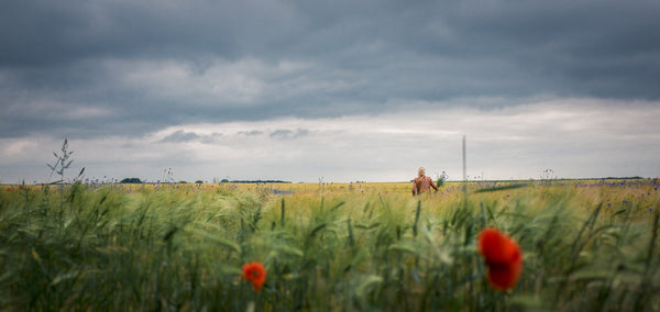 Landschaften - fotokunst.berlin - Kunstfoto Galerie