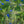 Load image into Gallery viewer, Greenly Blue - fotokunst.berlin - Kunstfoto Galerie