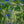 Load image into Gallery viewer, Greenly Blue - fotokunst.berlin - Kunstfoto Galerie