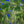 Load image into Gallery viewer, Greenly Blue - fotokunst.berlin - Kunstfoto Galerie