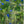Load image into Gallery viewer, Greenly Blue - fotokunst.berlin - Kunstfoto Galerie