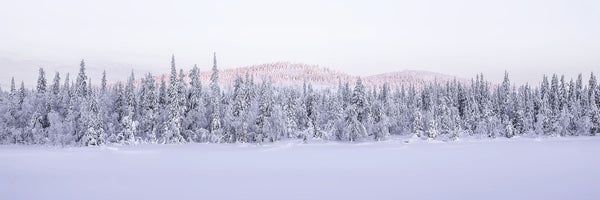 Panoramen - Alexander-Palm.Photography