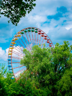 Hochformate - Alexander-Palm.Photography