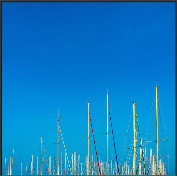 Ocean Wood  - fotokunst.berlin - Kunstfoto Galerie