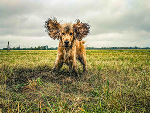 Rock On!  - fotokunst.berlin - Kunstfoto Galerie